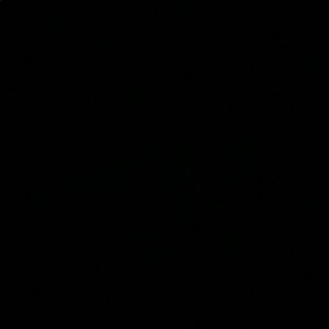 Meet your Posher, Thiago